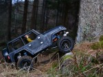DSC_09561.jpg